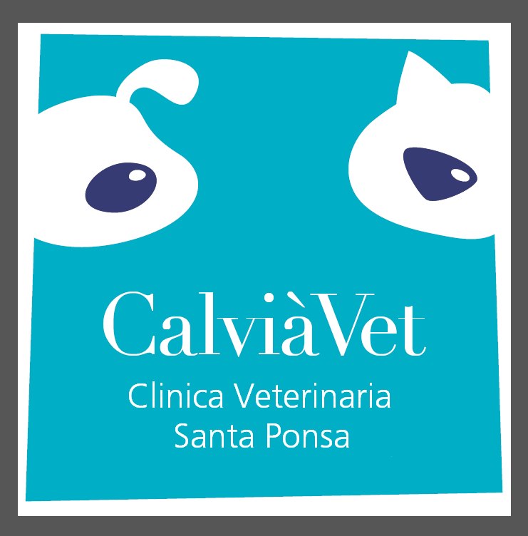 Clinica Veterinaria en Santa Ponsa CalviaVet