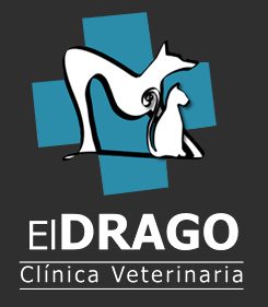 Clinicas Veterinarias en Tegueste El Drago