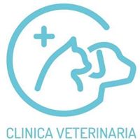 Clinicas Veterinarias Valencia Gastaldi