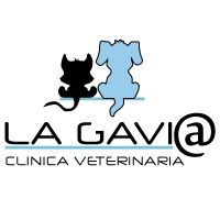 Clinicas Veterinarias en Madrid La Gavi@