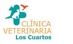 Clinica Veterinaria en La Orotava Los Cuartos