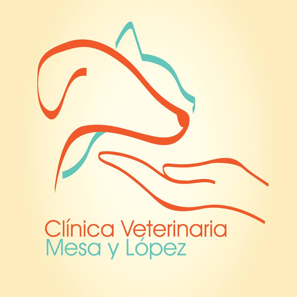 Clinicas Veterinarias en Las Palmas de Gran Canaria Mesa y López
