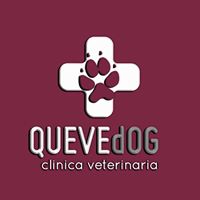 Clinicas Veterinarias en Madrid QUEVEdOG