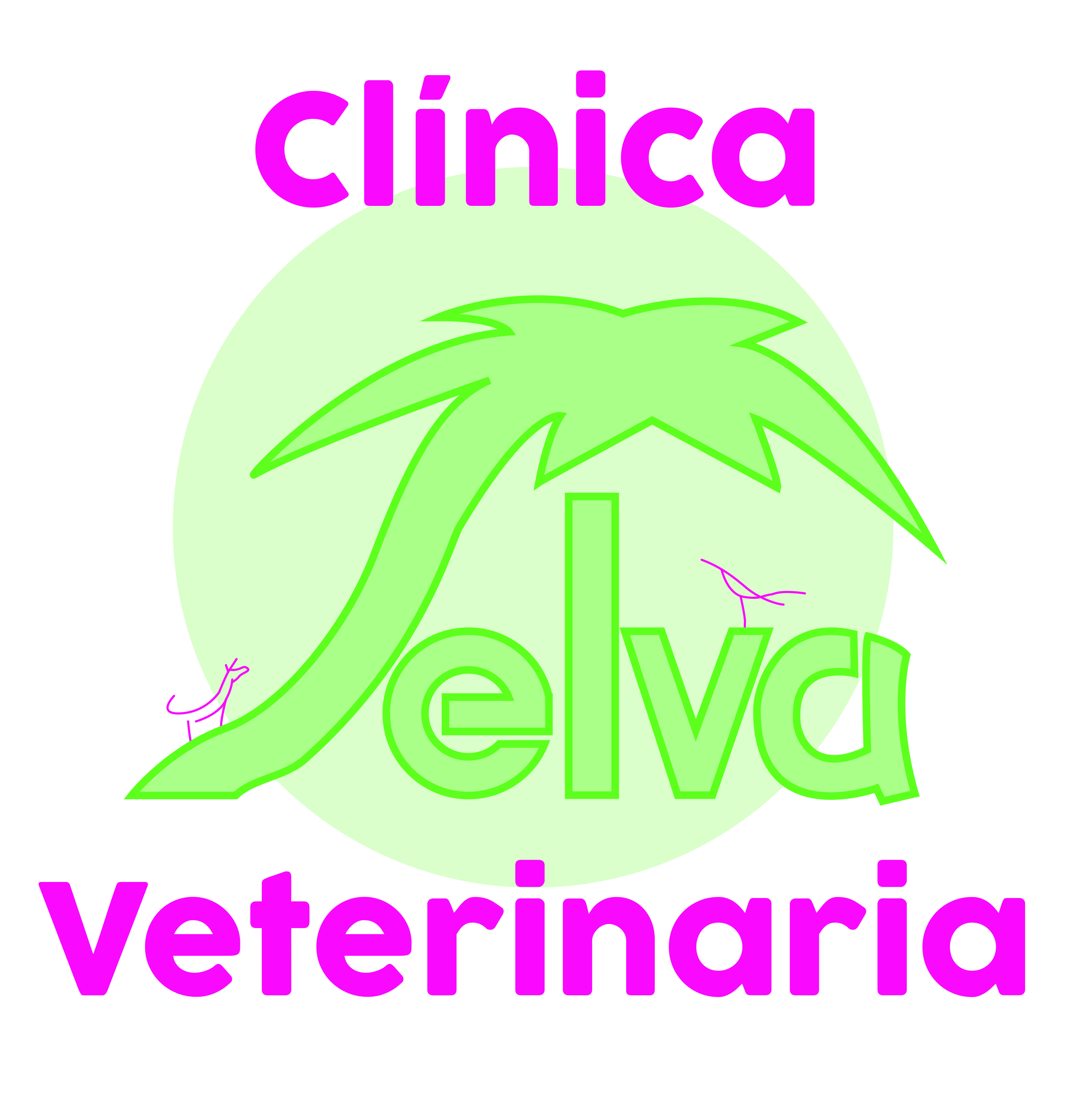 Clinicas Veterinarias Caceres Selva