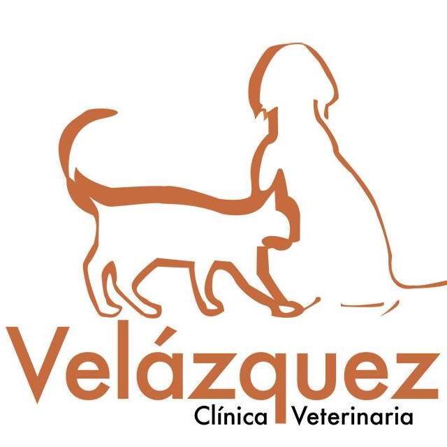 Clinicas Veterinarias en Madrid Velázquez