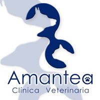 Clinicas Veterinarias Badajoz Amantea