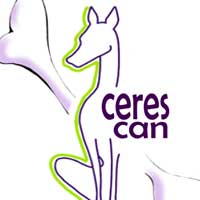 Paseador Canino Caceres Ceres Can