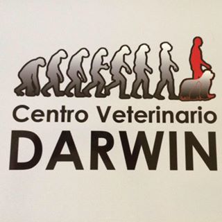 Clínicas veterinarias Pontevedra DARWIN