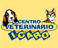 Clinicas Veterinarias Oviedo Icaro