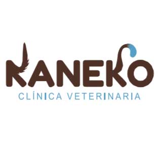 Clinicas Veterinarias Murcia Kaneko