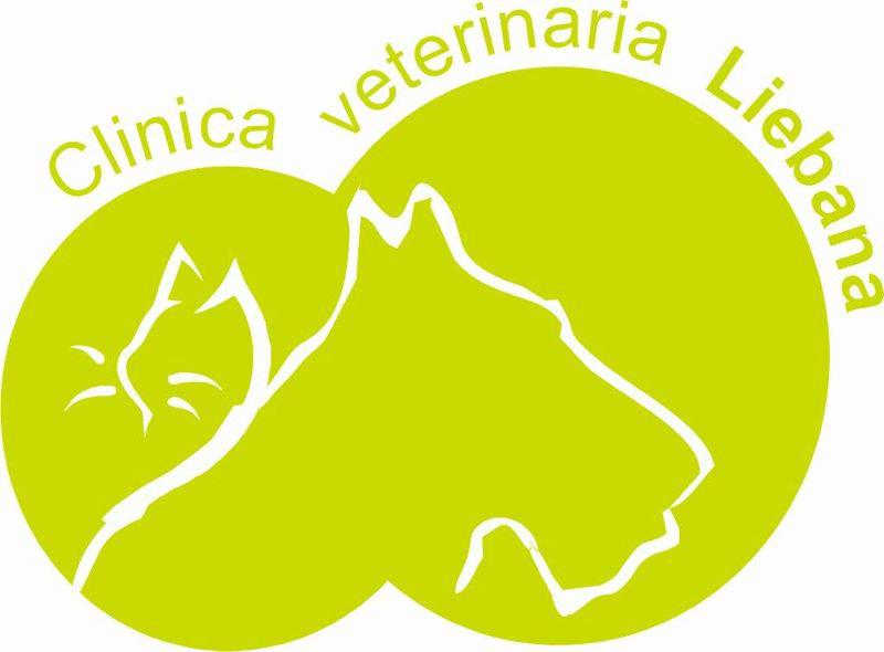 Clinicas Veterinarias Santander Liebana
