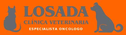 Clinicas Veterinarias Santander Losada