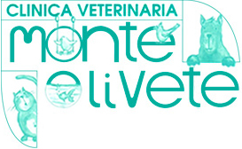 Clinicas Veterianrias Valencia Monteolivete