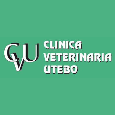 Clinicas Veterinarias Zaragoza Utebo