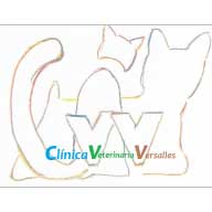 Clínicas veterinarias Aviles Versalles